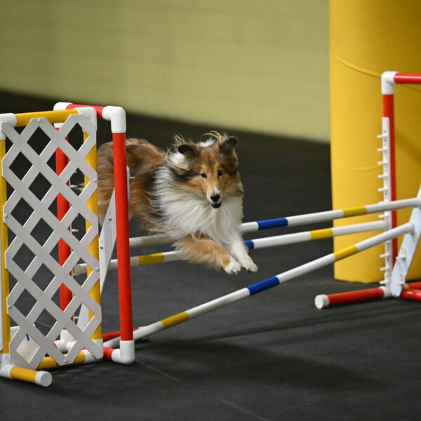 Bailey-Schmauder-01277