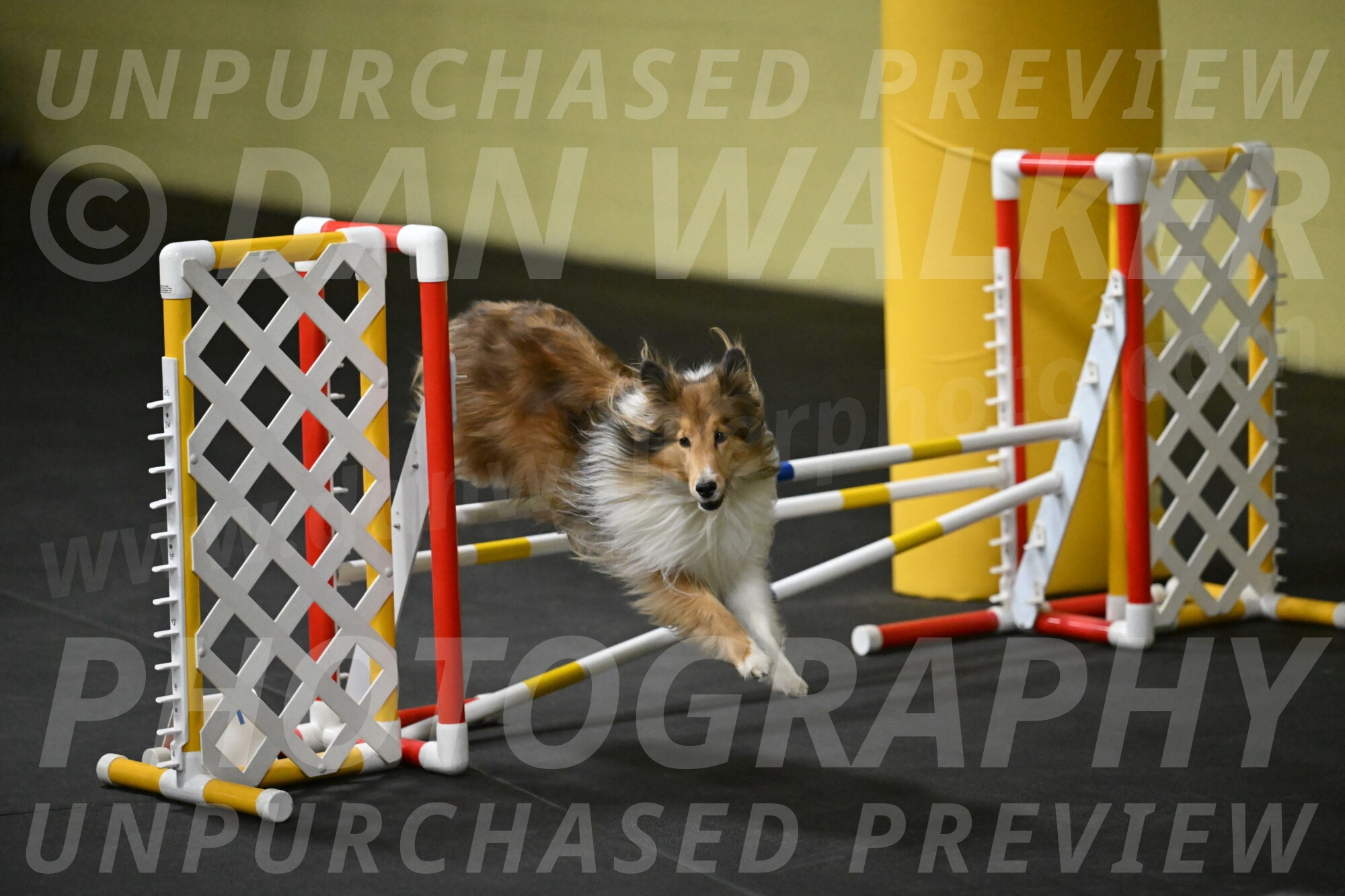 Bailey-Schmauder-01278