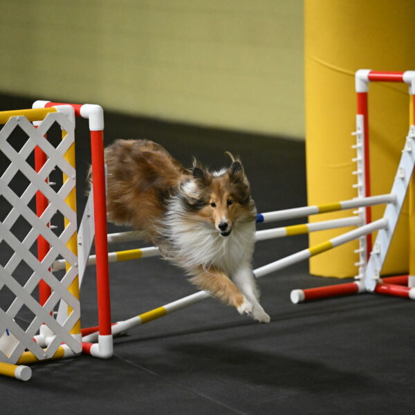 Bailey-Schmauder-01278