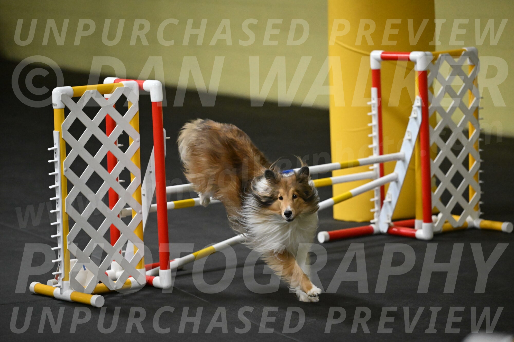 Bailey-Schmauder-01279