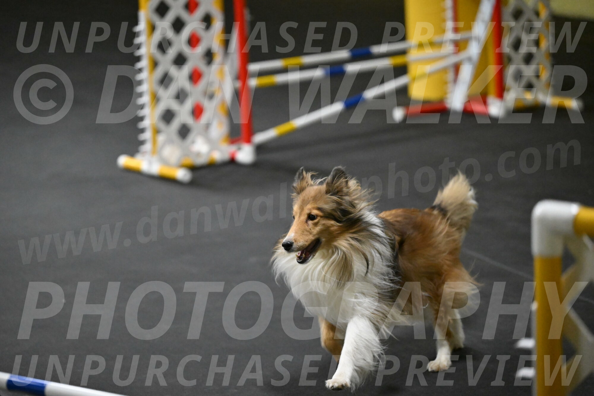 Bailey-Schmauder-01284