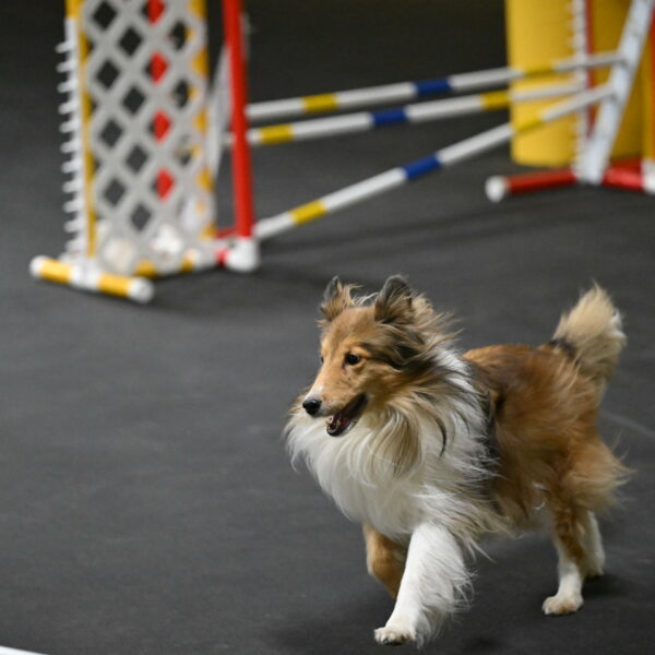 Bailey-Schmauder-01284