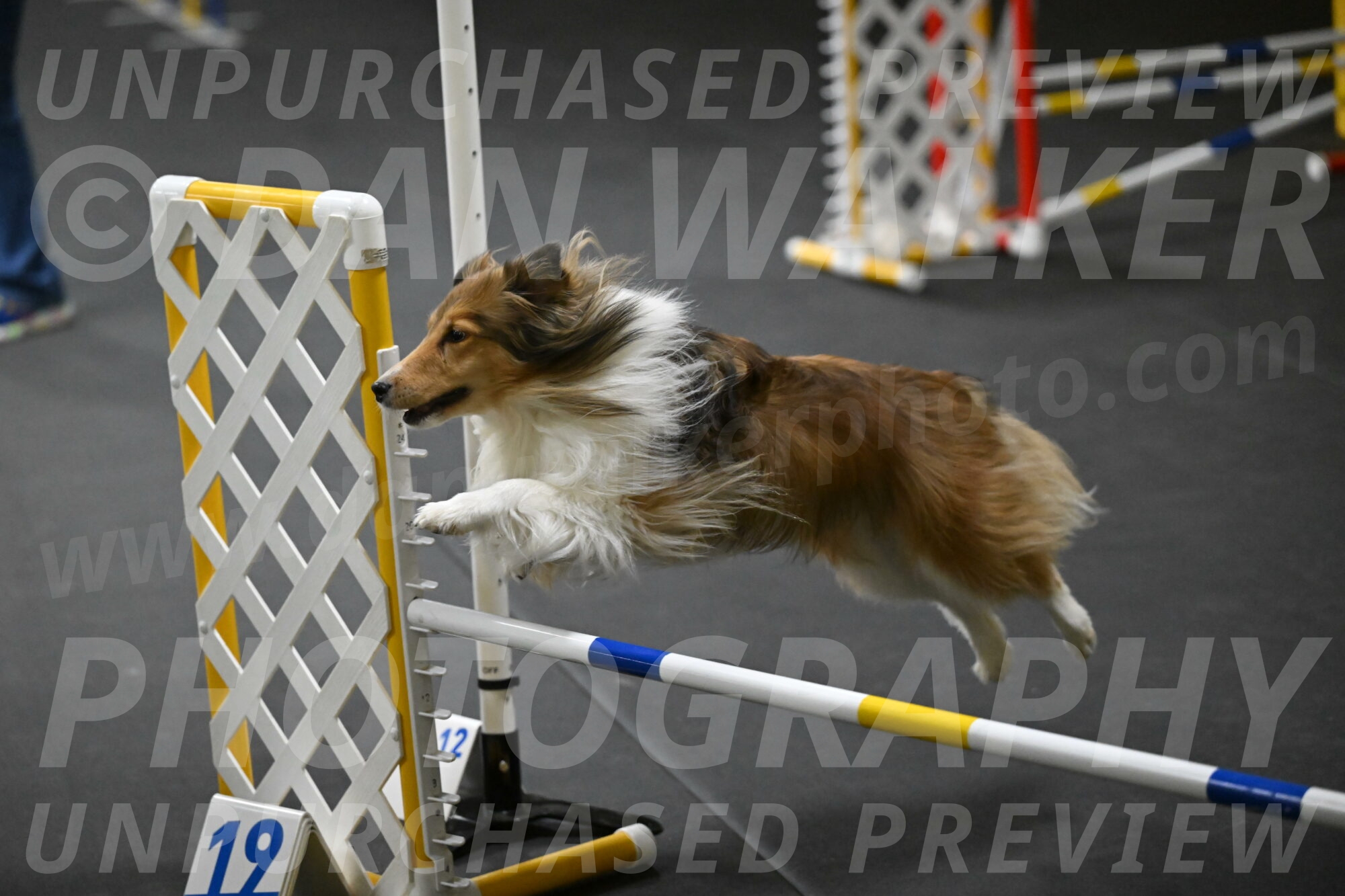 Bailey-Schmauder-01288