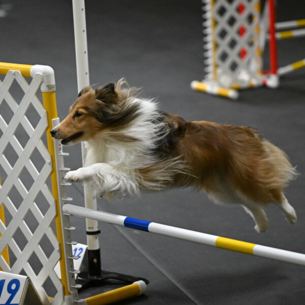 Bailey-Schmauder-01288