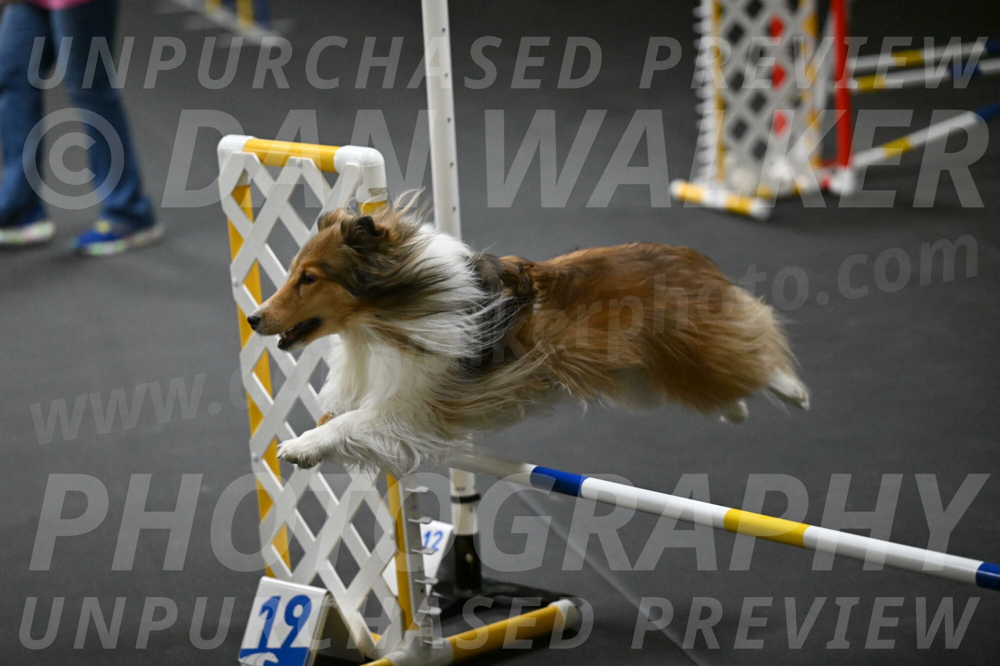 Bailey-Schmauder-01289