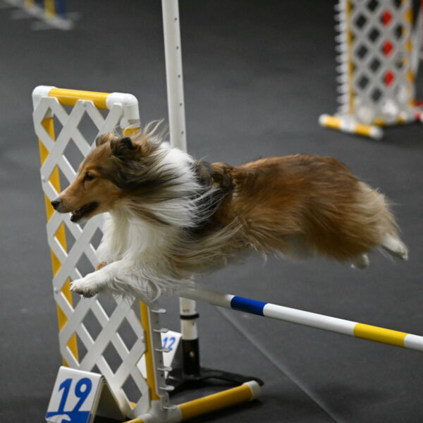 Bailey-Schmauder-01289