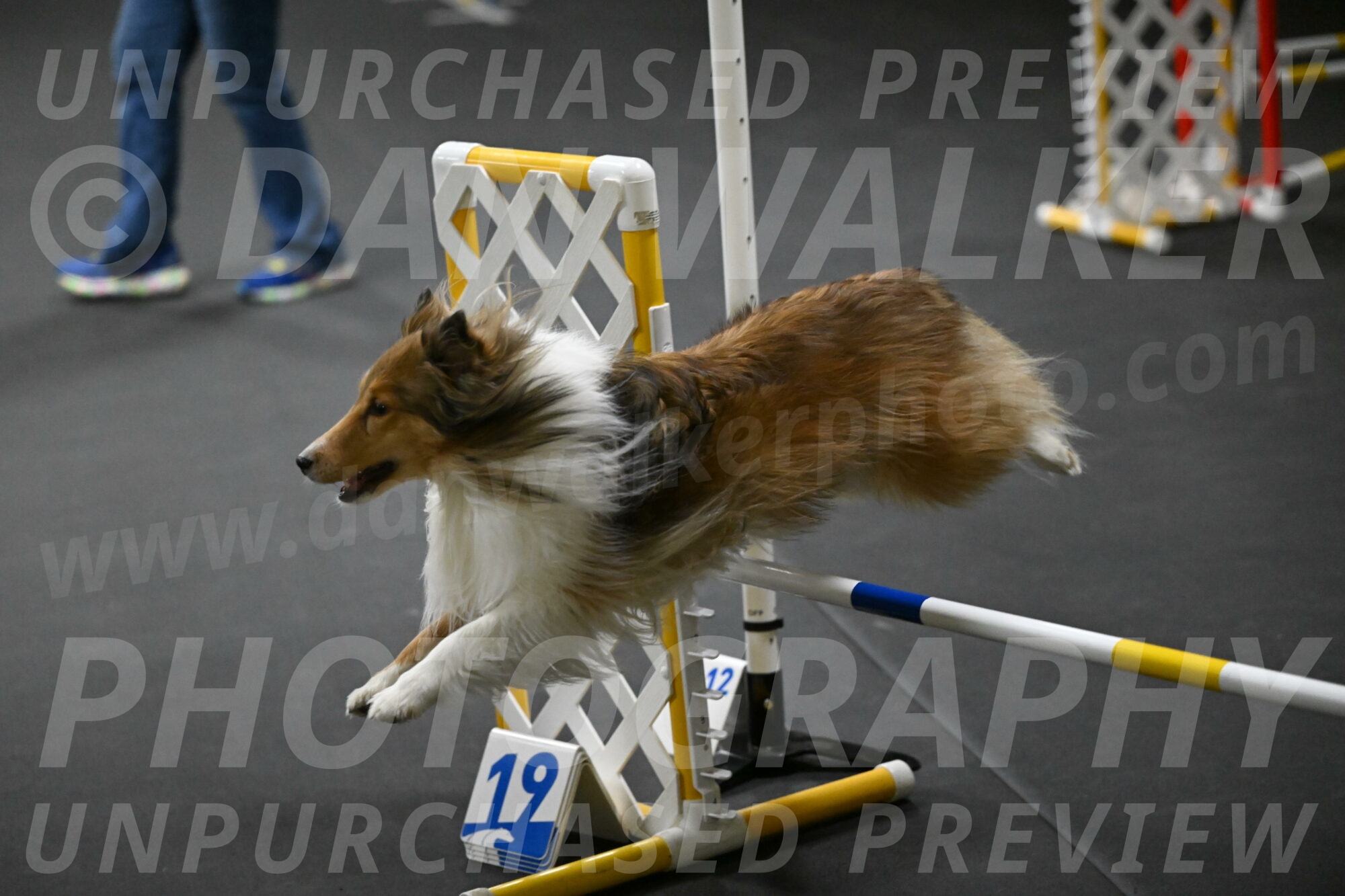 Bailey-Schmauder-01290