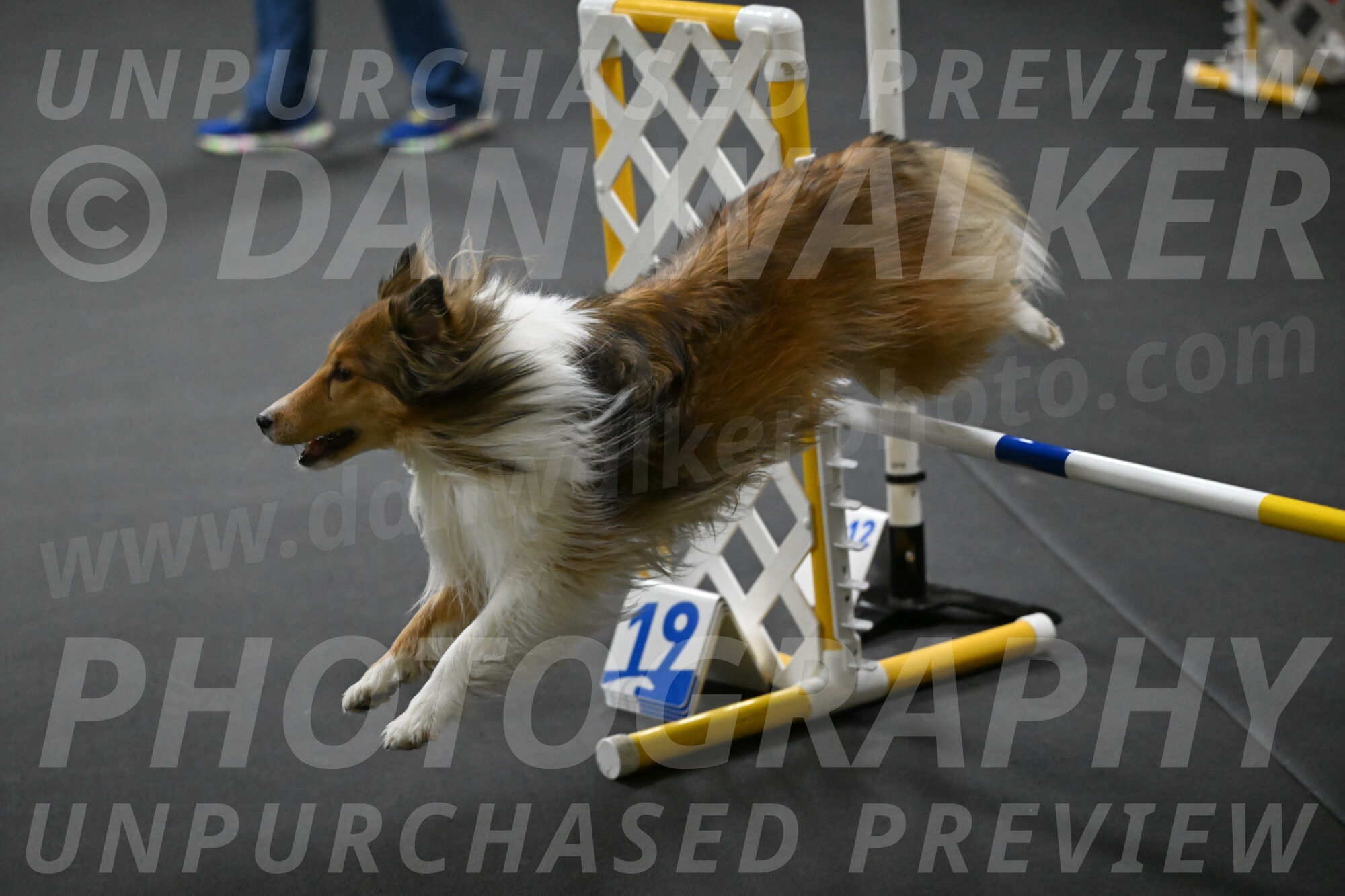 Bailey-Schmauder-01291