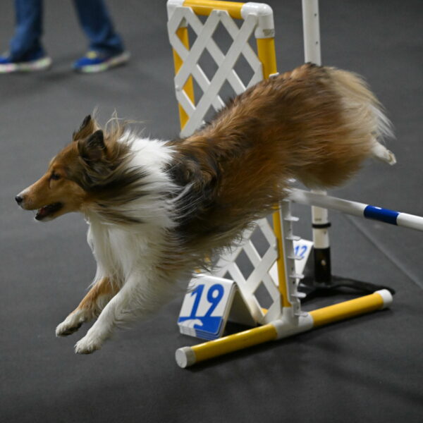 Bailey-Schmauder-01291