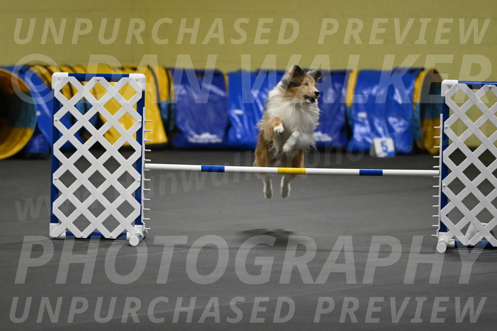 Bailey-Schmauder-01298