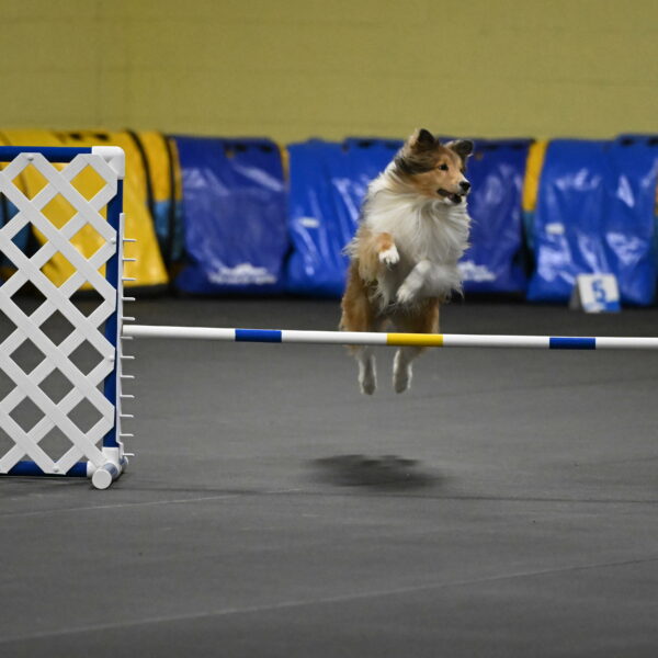 Bailey-Schmauder-01298