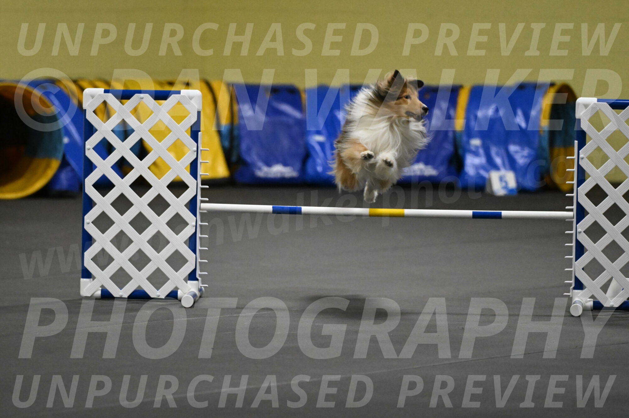 Bailey-Schmauder-01299