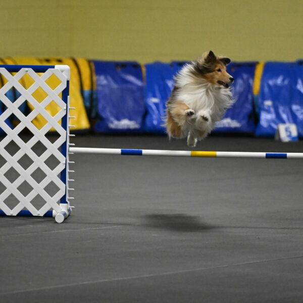 Bailey-Schmauder-01299