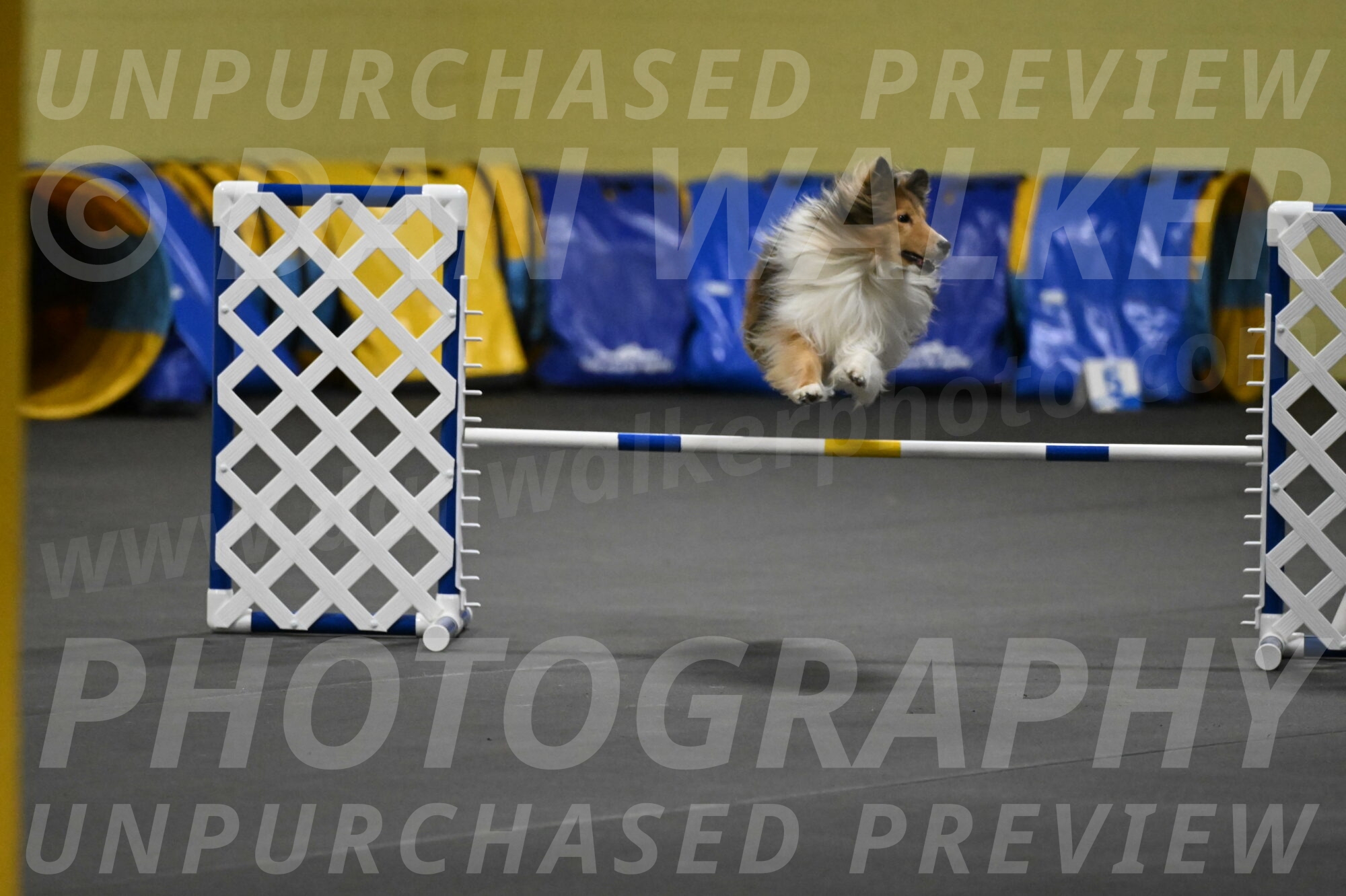 Bailey-Schmauder-01300