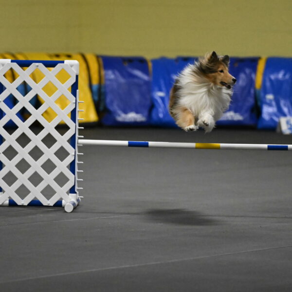 Bailey-Schmauder-01300