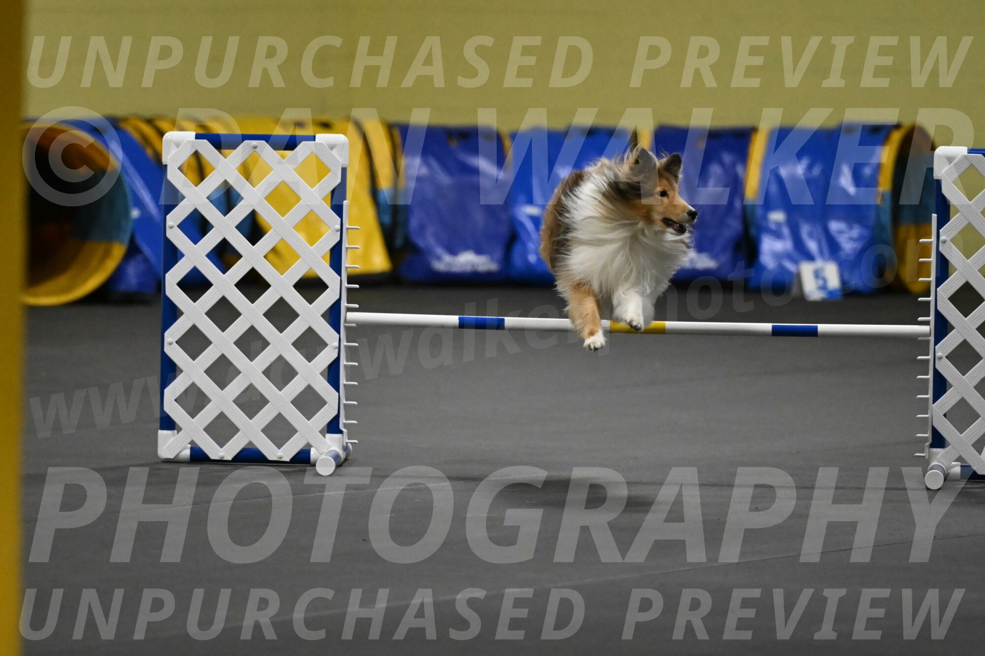 Bailey-Schmauder-01301