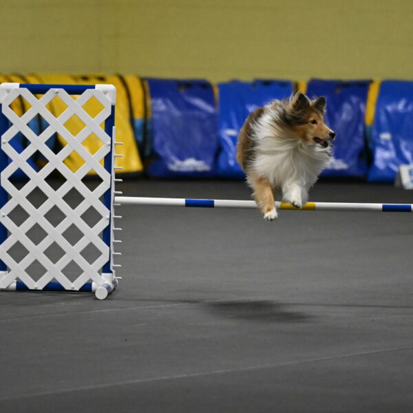 Bailey-Schmauder-01301