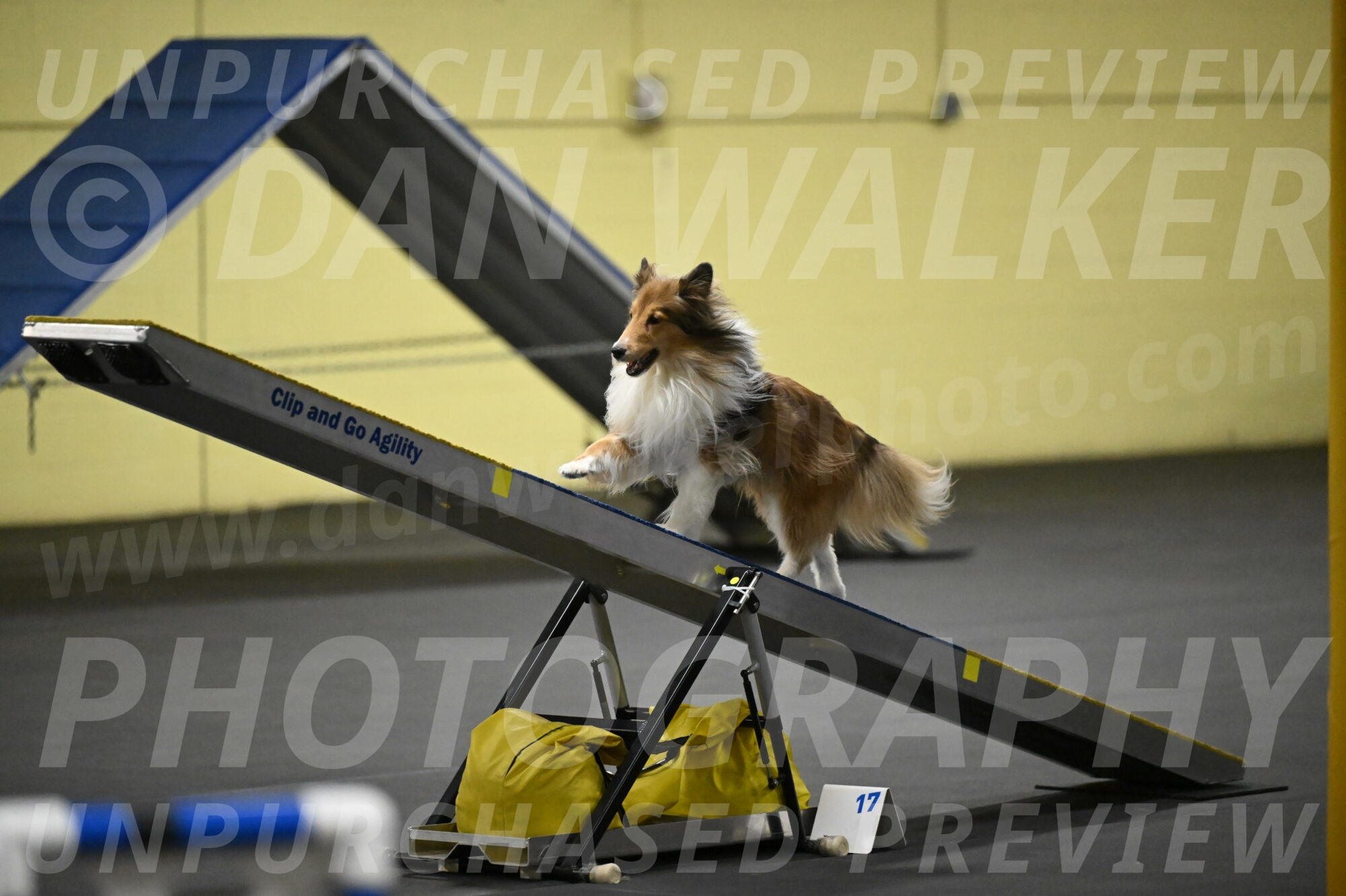 Bailey-Schmauder-01302