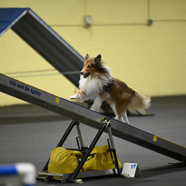 Bailey-Schmauder-01302