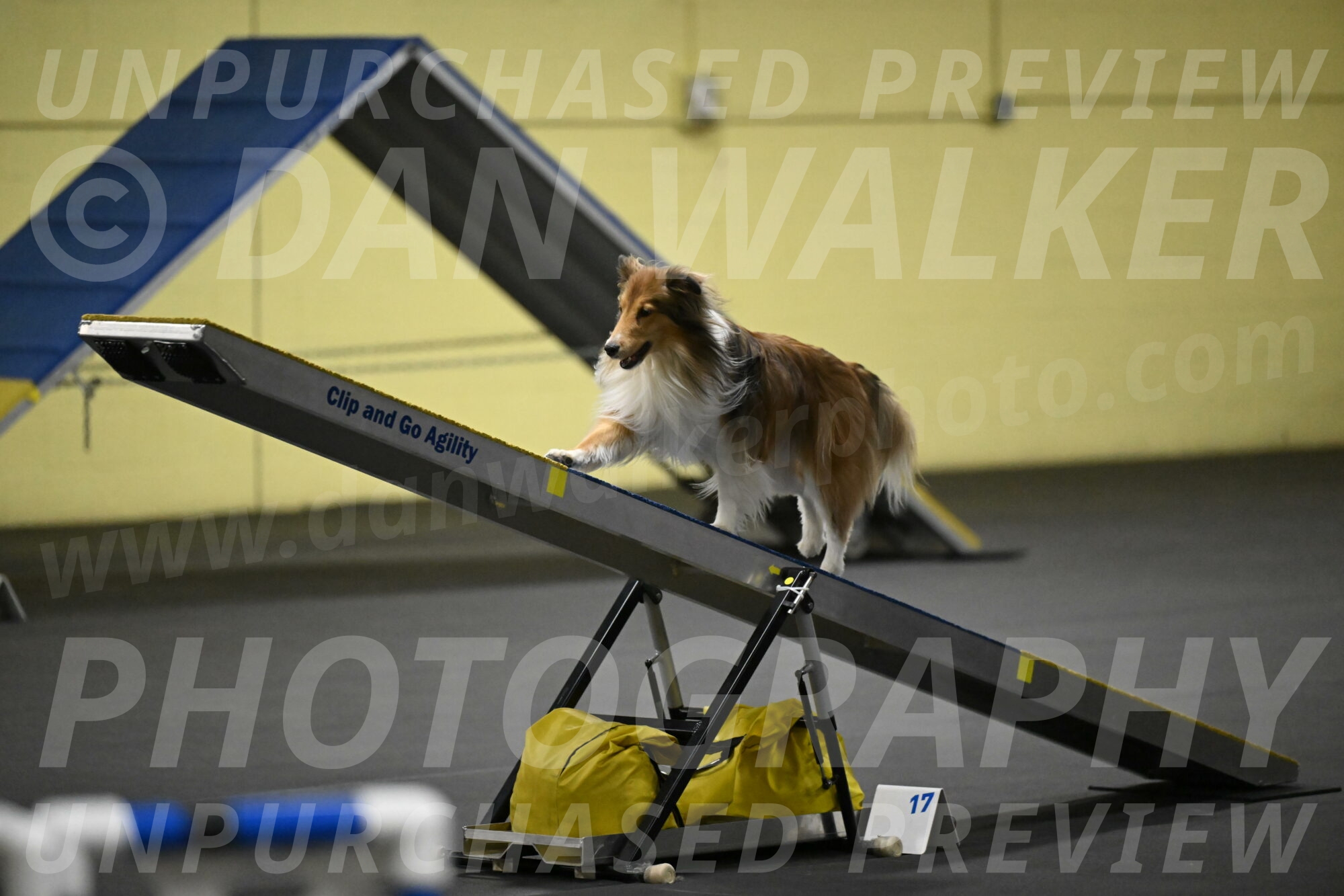 Bailey-Schmauder-01303