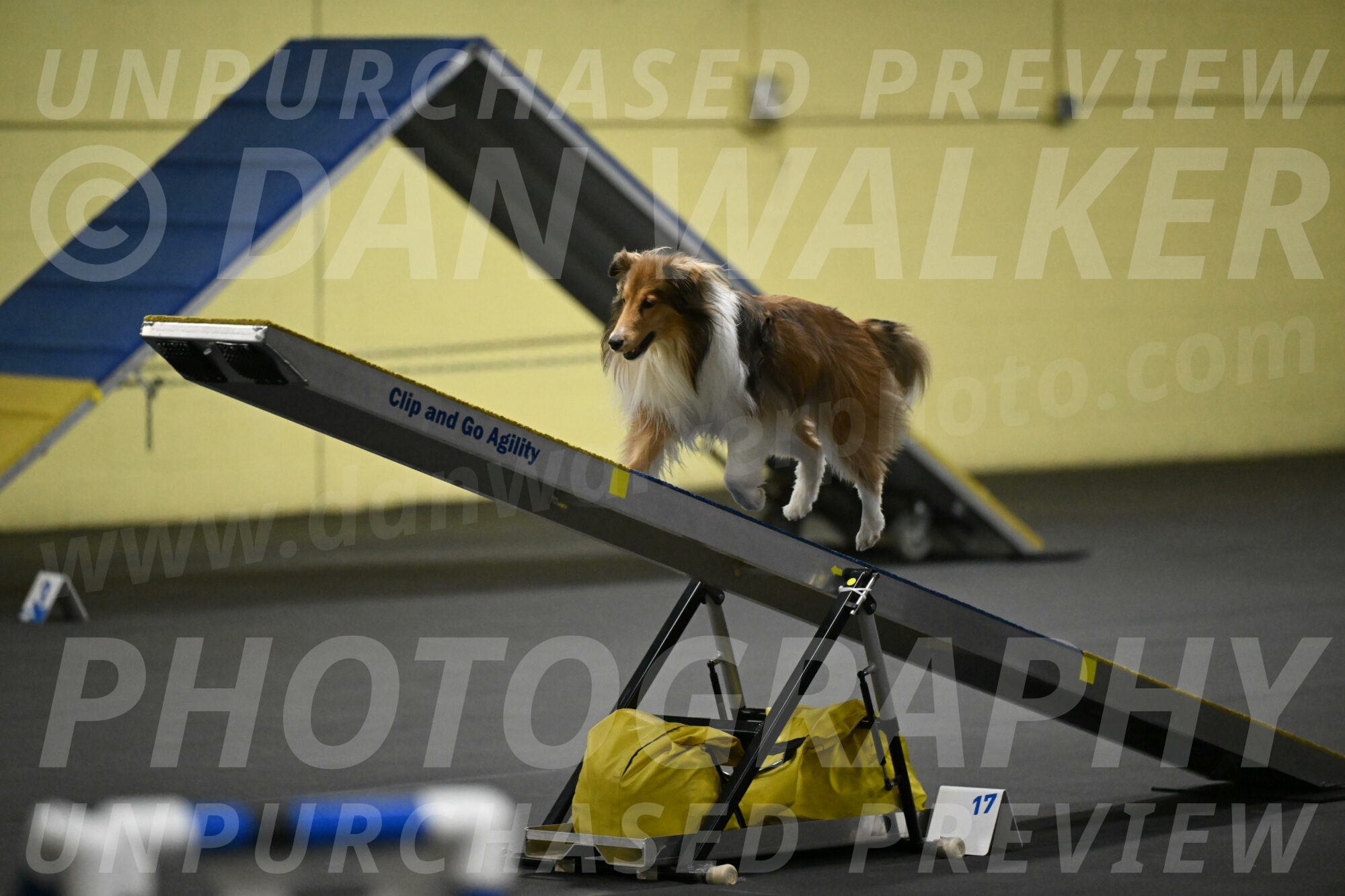 Bailey-Schmauder-01304