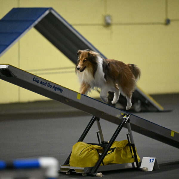 Bailey-Schmauder-01304