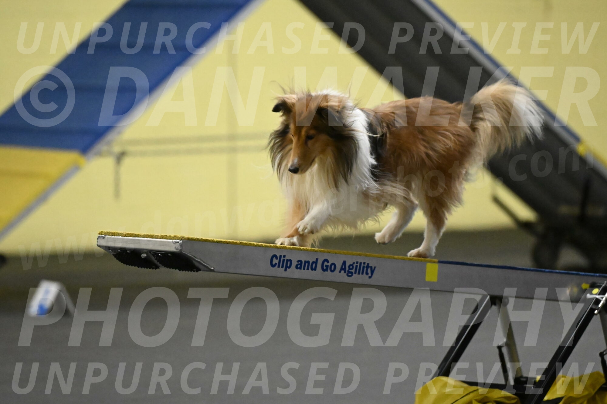 Bailey-Schmauder-01305