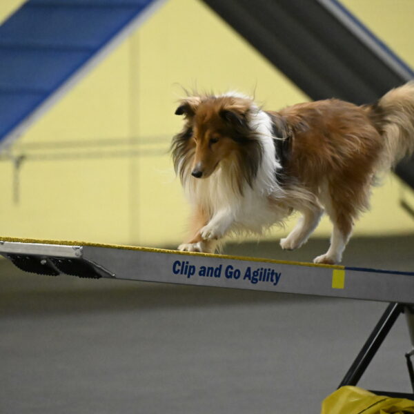 Bailey-Schmauder-01305