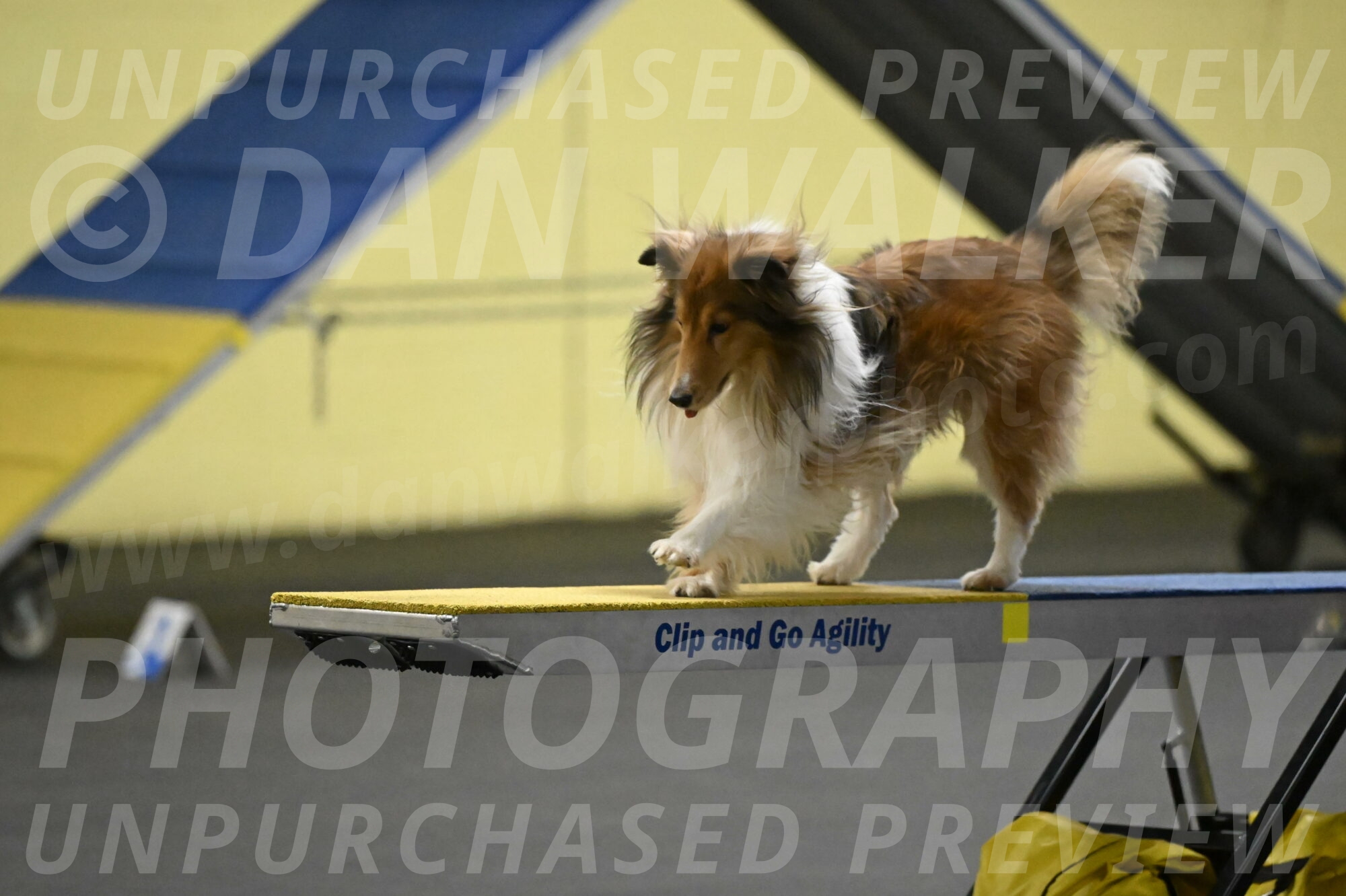 Bailey-Schmauder-01306