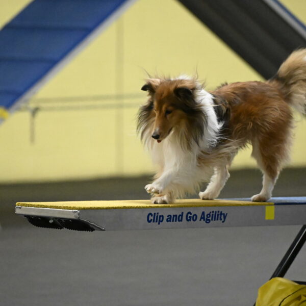 Bailey-Schmauder-01306