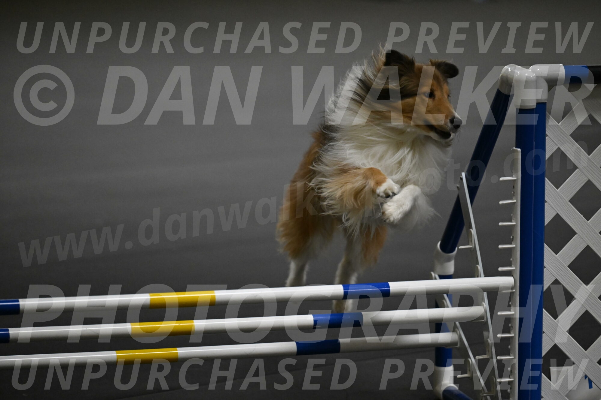 Bailey-Schmauder-01318