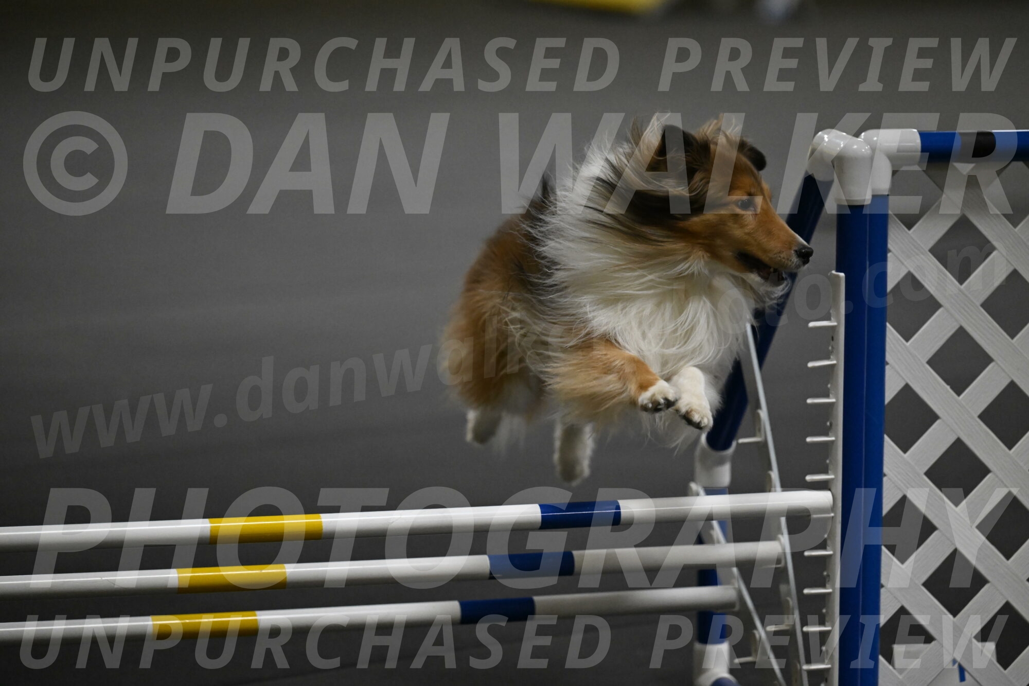 Bailey-Schmauder-01319