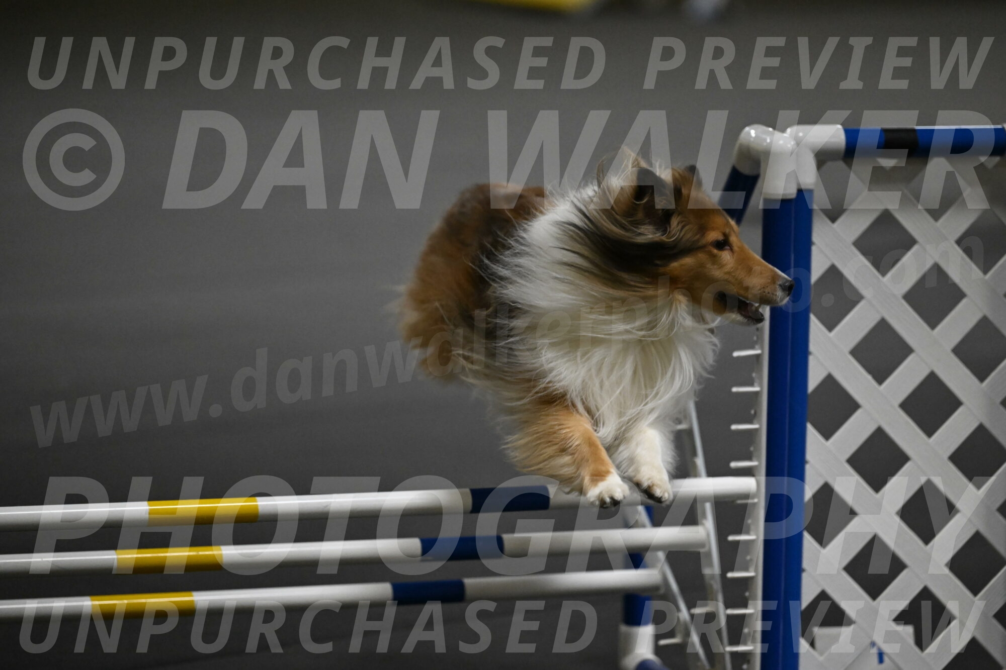 Bailey-Schmauder-01320