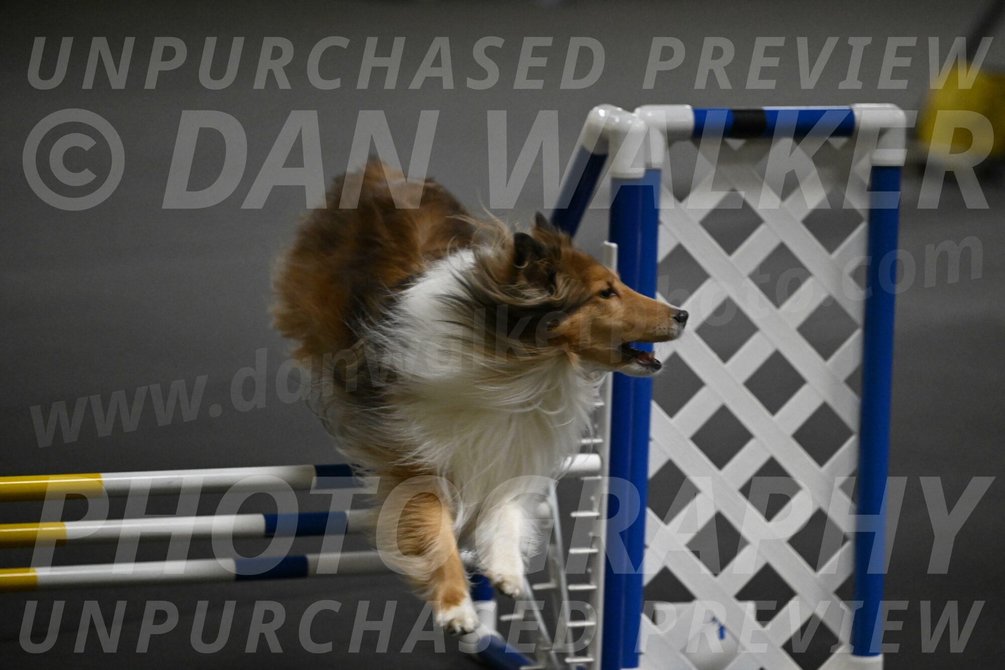 Bailey-Schmauder-01321