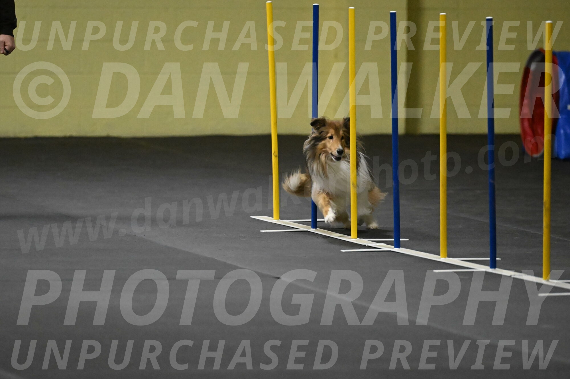 Bailey-Schmauder-01328