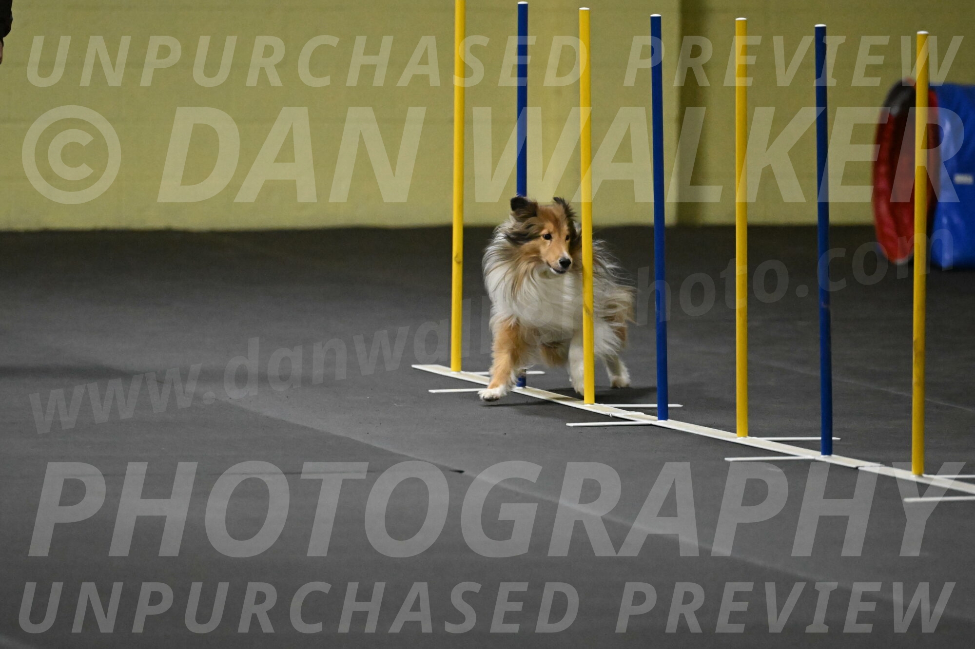 Bailey-Schmauder-01329