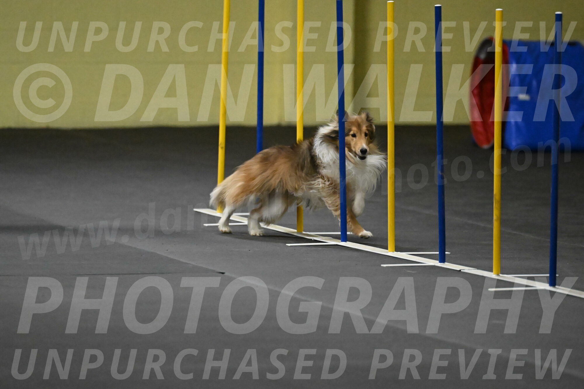 Bailey-Schmauder-01333