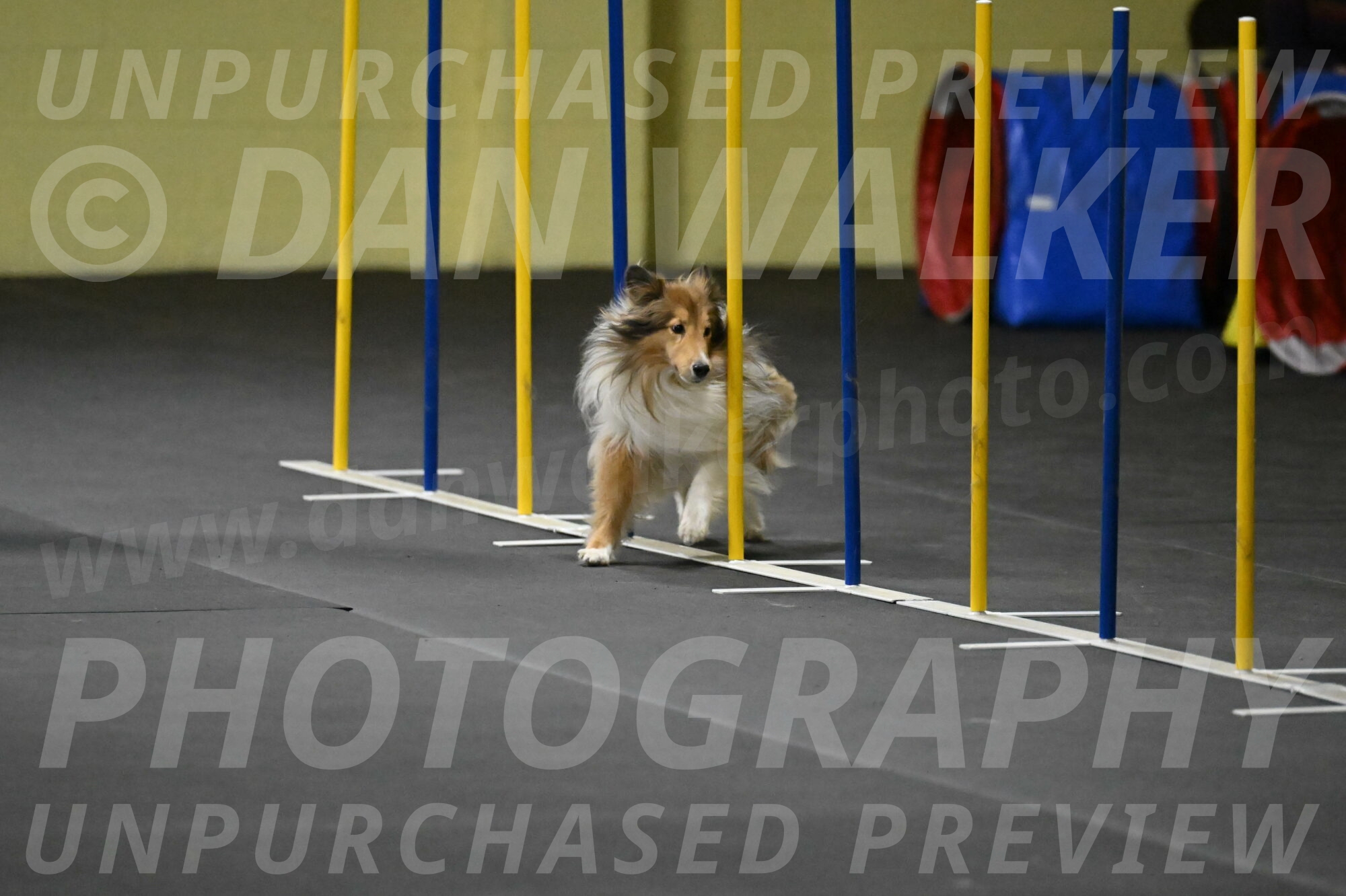 Bailey-Schmauder-01337