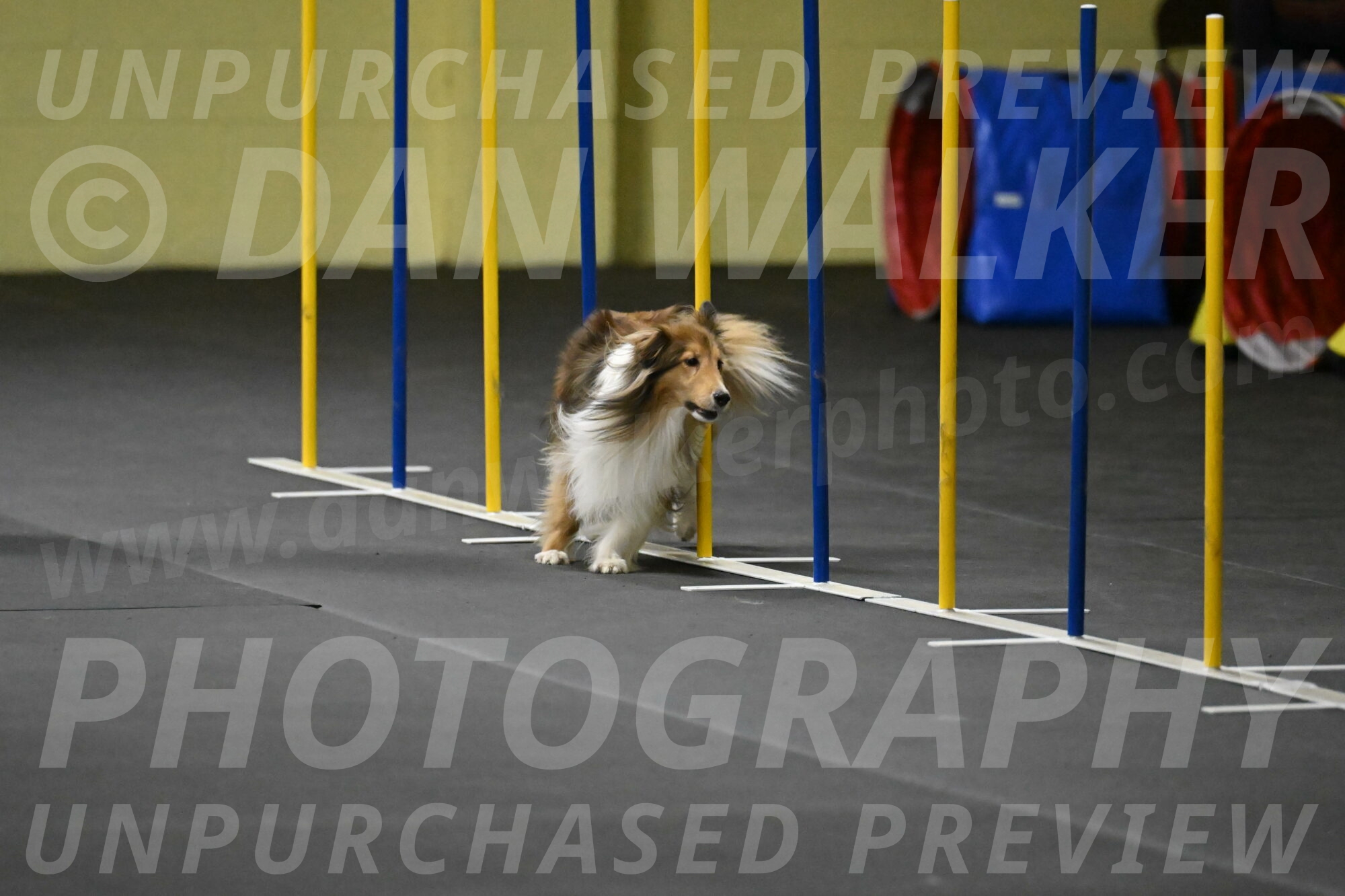 Bailey-Schmauder-01338