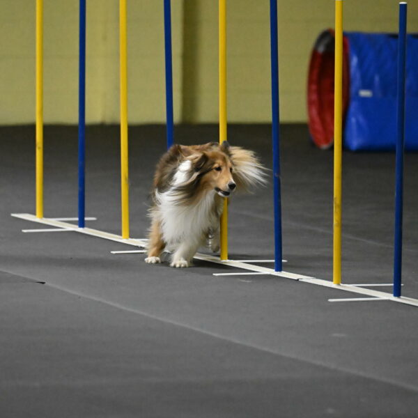 Bailey-Schmauder-01338