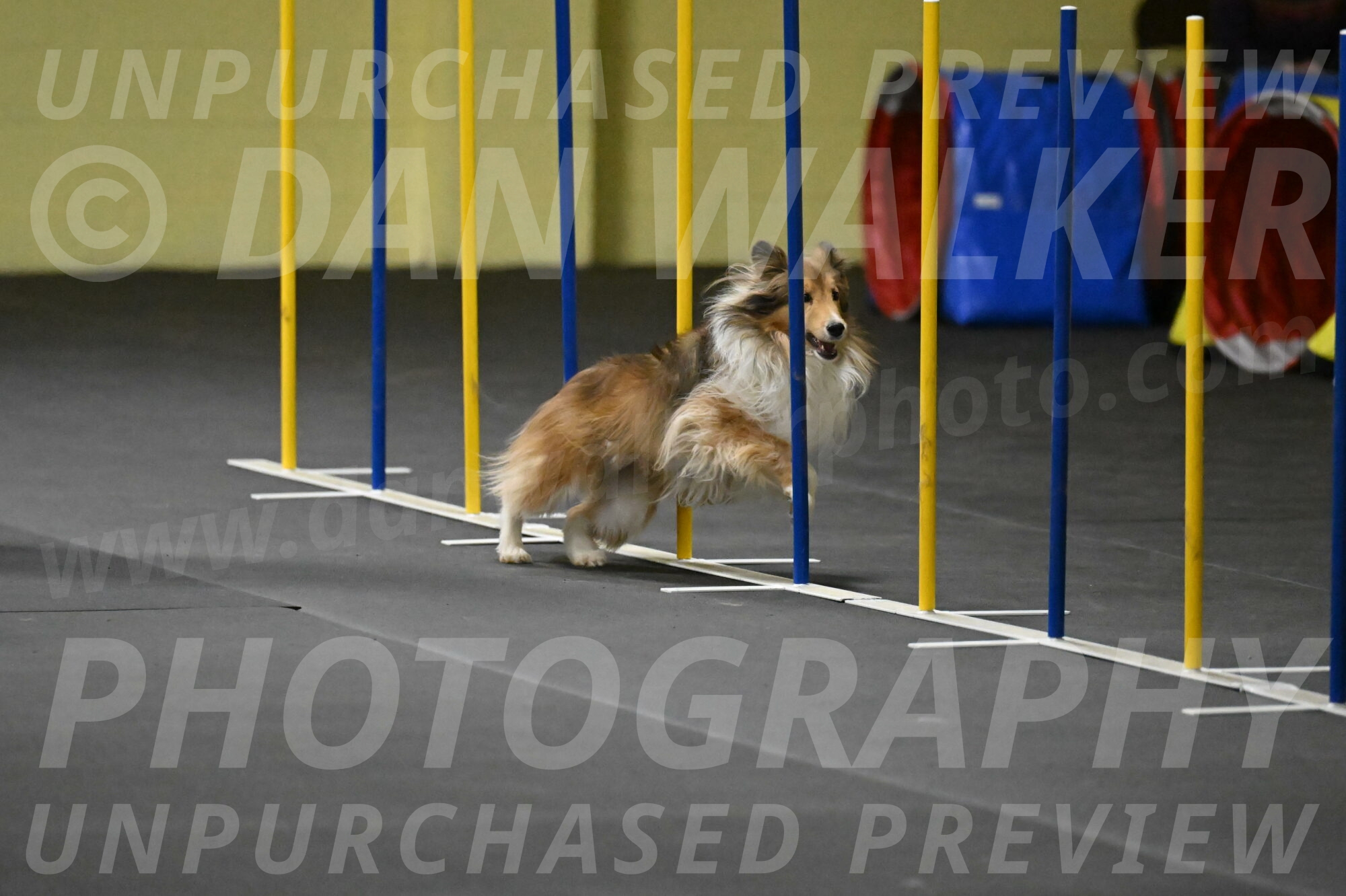 Bailey-Schmauder-01340