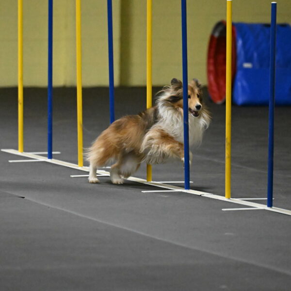 Bailey-Schmauder-01340