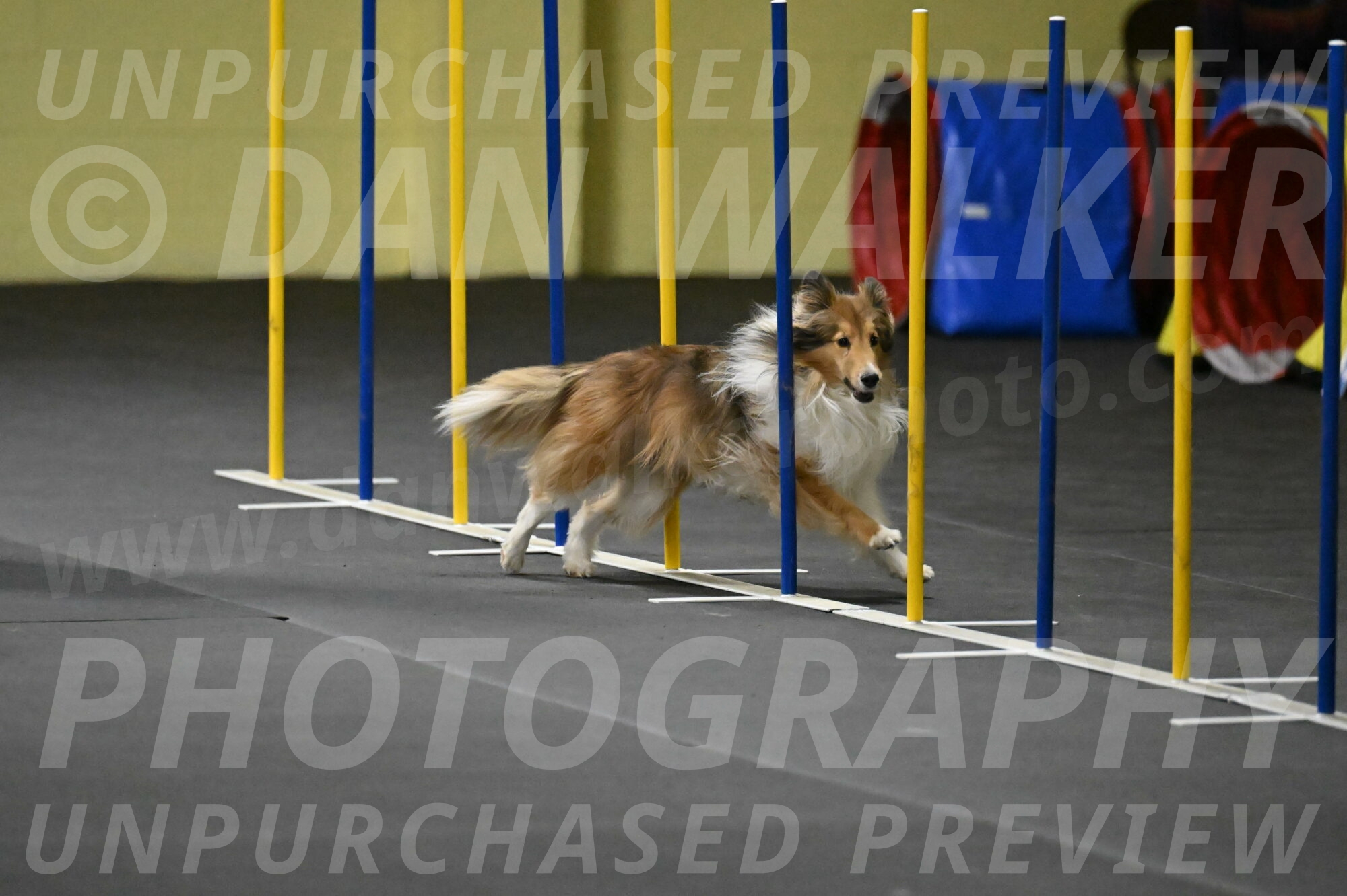 Bailey-Schmauder-01341