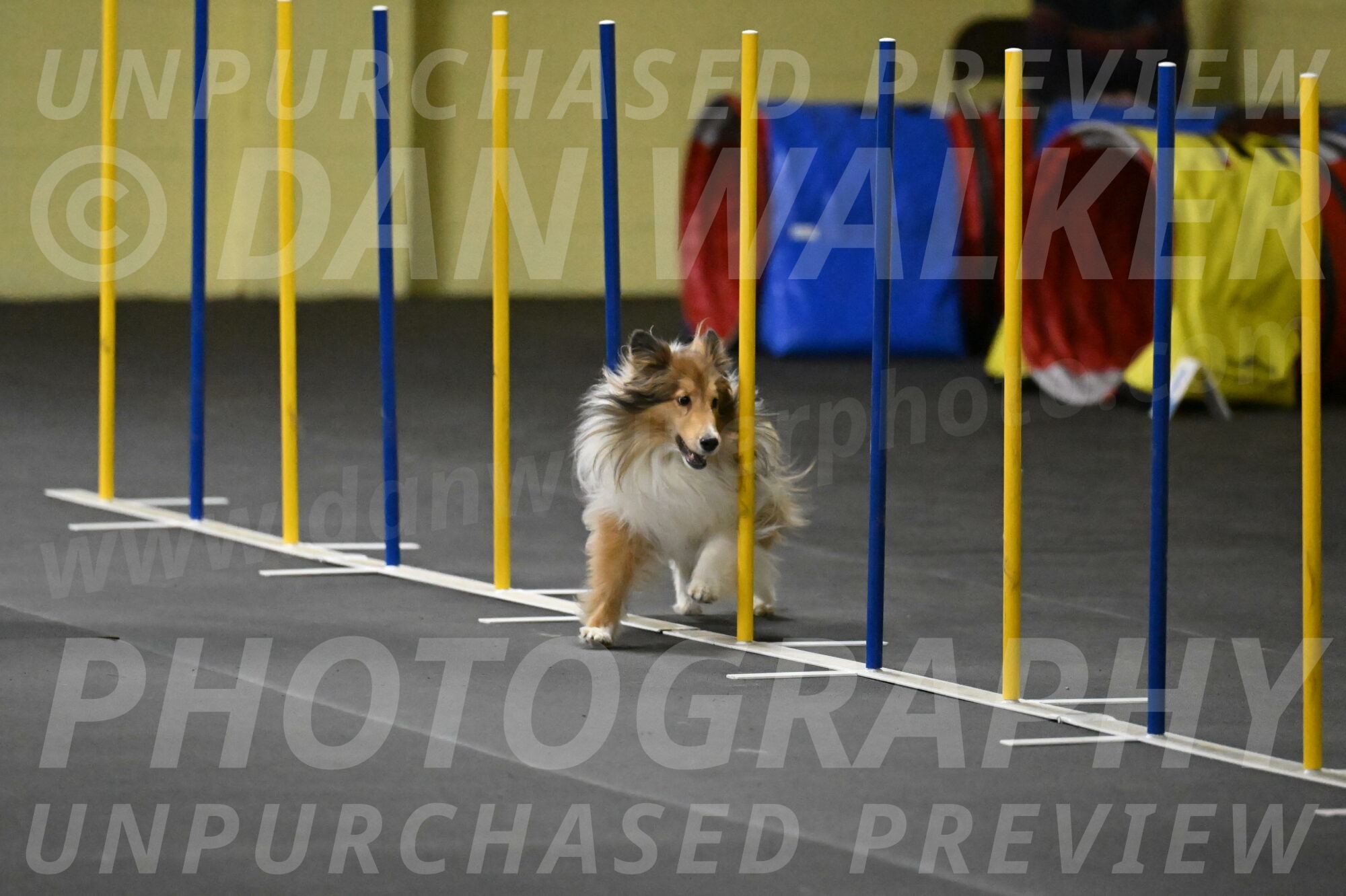 Bailey-Schmauder-01344