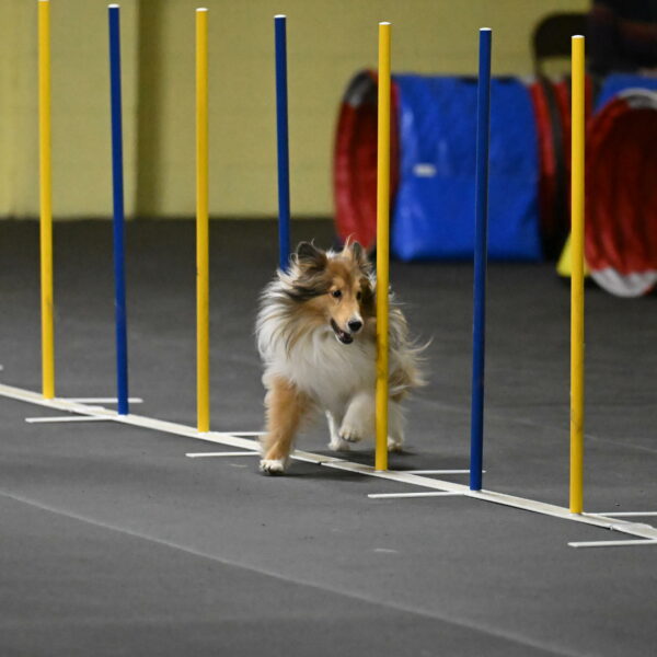 Bailey-Schmauder-01344