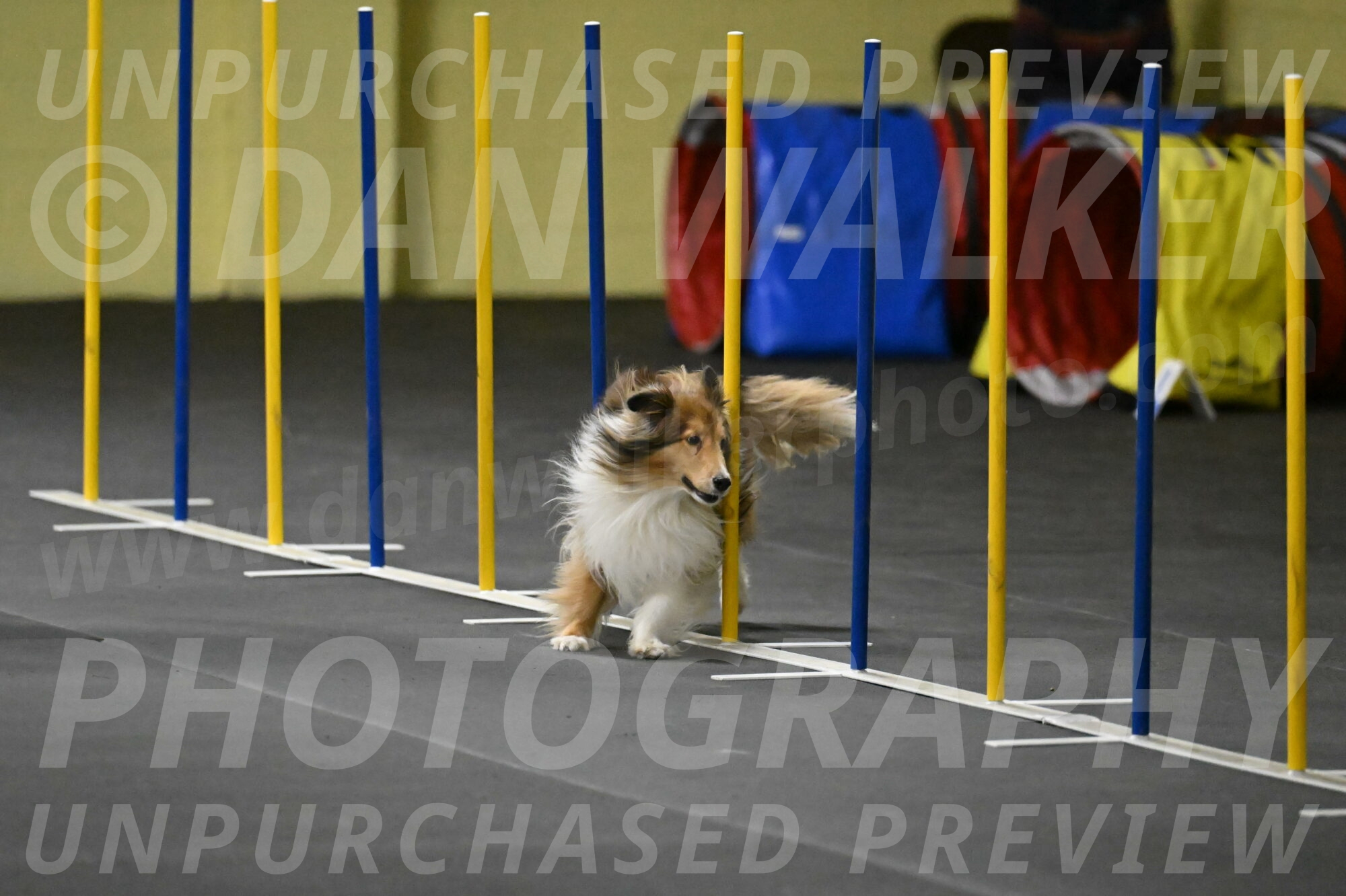 Bailey-Schmauder-01345