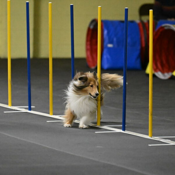 Bailey-Schmauder-01345