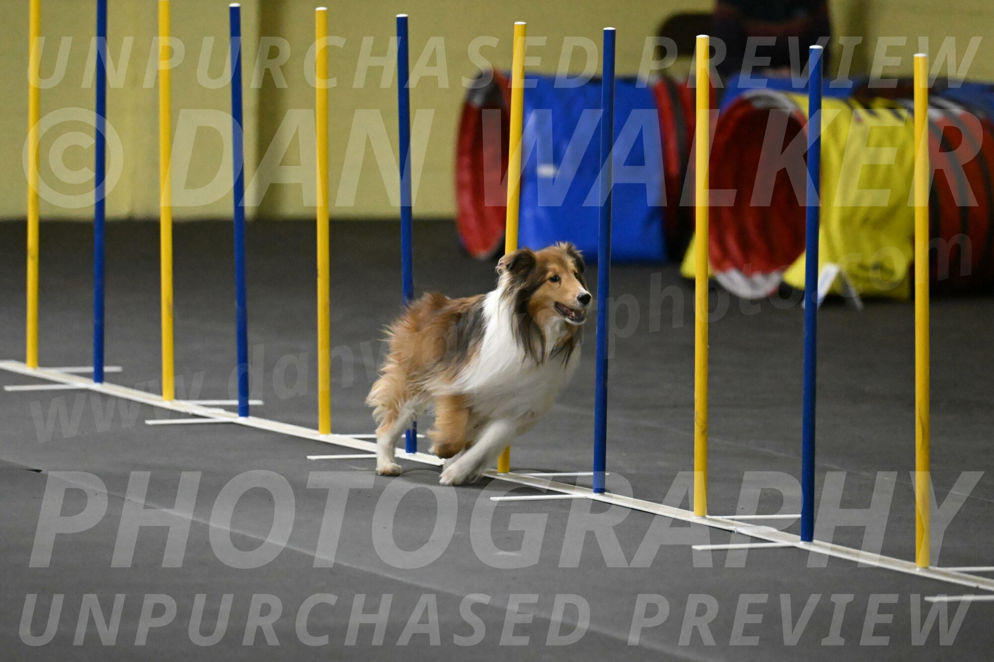 Bailey-Schmauder-01346