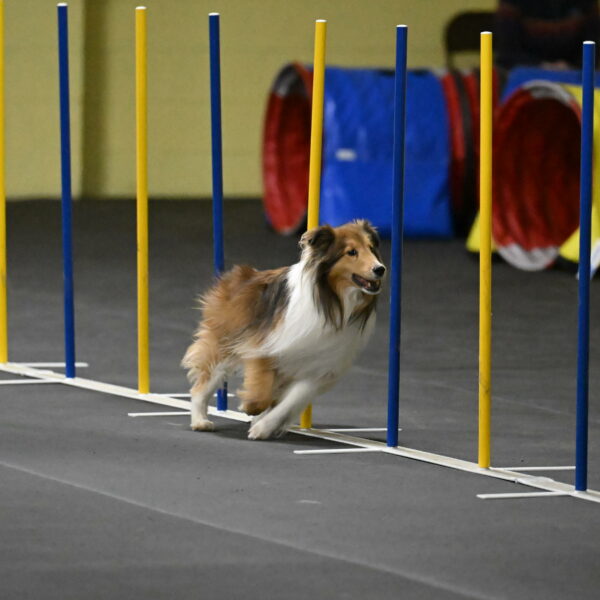 Bailey-Schmauder-01346