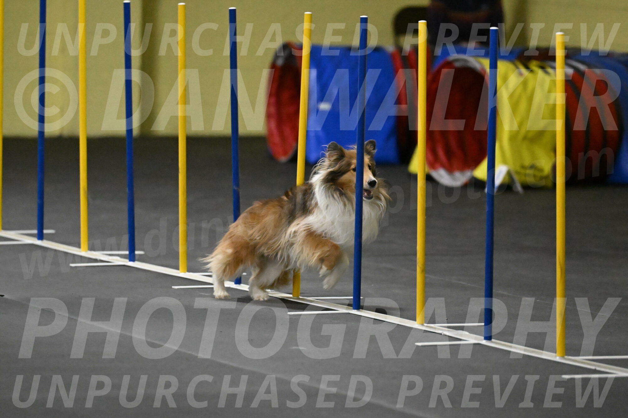 Bailey-Schmauder-01347